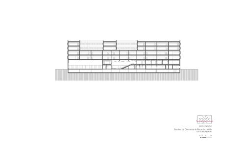 Facultad de Ciencias de la Educación en Sevilla Diseño de plano de sección longitudinal de Cruz y Ortiz Arquitectos