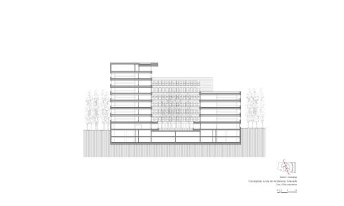 Oficinas de la Junta de Andalucía en Granada Diseño de plano de sección transversal de Cruz y Ortiz Arquitectos