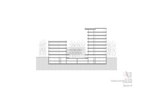 Oficinas de la Junta de Andalucía en Granada Diseño de plano sección transversal de Cruz y Ortiz Arquitectos