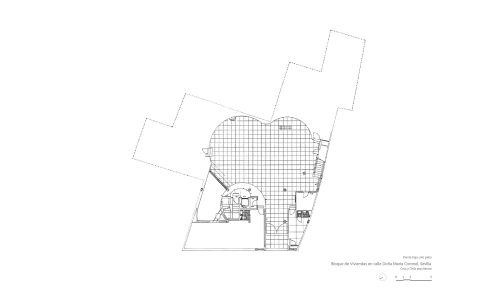 Viviendas en la Calle María Coronel de Sevilla Diseño del plano de patio en planta baja Cruz y Ortiz Arquitectos