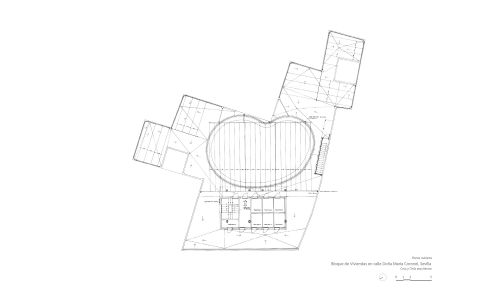 Viviendas en la Calle María Coronel de Sevilla Diseño de plano de planta cubierta Cruz y Ortiz Arquitectos