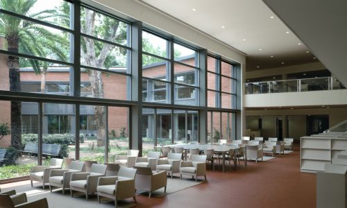 Biblioteca Infanta Elena de Sevilla Diseño interior de la luz ventana y jardin Cruz y Ortiz