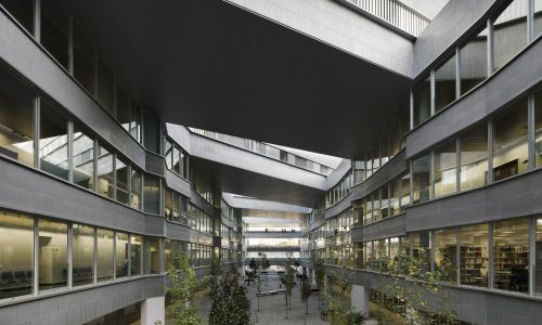 Facultad de Ciencias de la Educación en Sevilla Diseño exterior de patio duro adoquinado con arbolado de Cruz y Ortiz Arquitectos