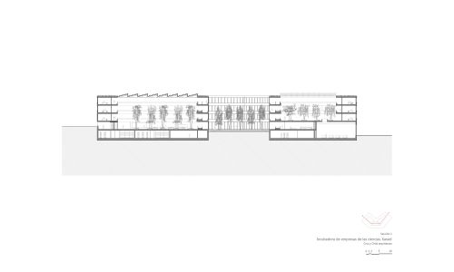 Incubadora de Empresas Diseño de plano de sección de Cruz y Ortiz Arquitectos