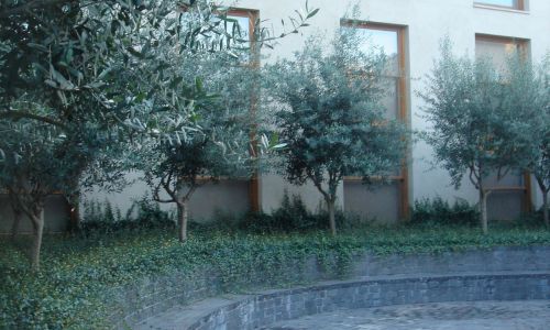 Lofts en Fabrica de Sabadell en Barcelona Diseño exterior de jardin con mobiliario exterior en forma de elipse de Cruz y Ortiz Arquitectos