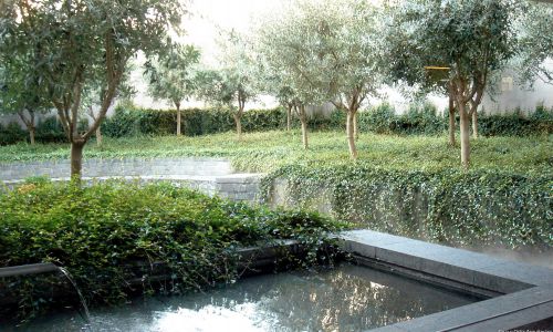 Lofts en Fabrica de Sabadell en Barcelona Diseño exterior de vegetación de jardín arbolado y fuente en el patio de Cruz y Ortiz Arquitectos