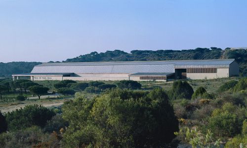 Museo del Mundo Marino Diseño de las dunas Cruz y Ortiz Arquitectos