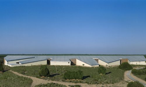 Museo del Mundo Marino Diseño Exterior de las dunas Cruz y Ortiz Arquitectos