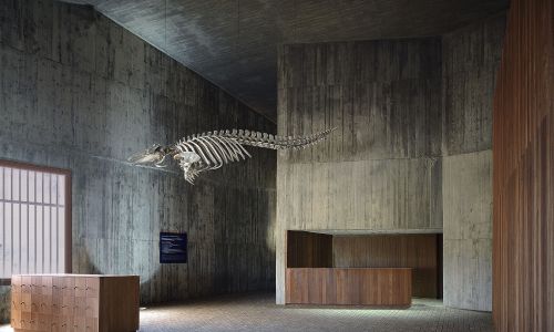 Museo del Mundo Marino Diseño del Interior con Cetaceos Cruz y Ortiz Arquitectos