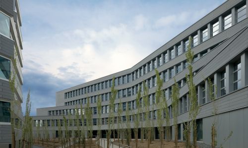 Oficinas de la Junta de Andalucía en Granada Diseño exterior de fachada interior de jardin y paisajismo de Cruz y Ortiz Arquitectos