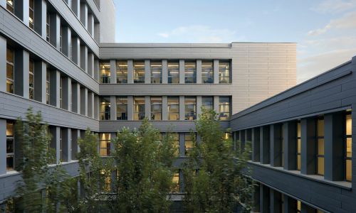 Oficinas de la Junta de Andalucía en Granada Diseño de fachada interior de patio acabada en cinc y paisajismo con arbolado de Cruz y Ortiz Arquitectos