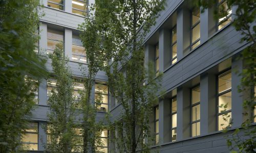 Oficinas de la Junta de Andalucía en Granada Diseño de patio y paisajismo con arbolado de Cruz y Ortiz Arquitectos