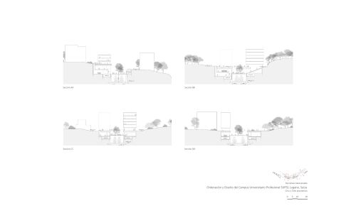 Facultades de Campus Universitario Supsi en Lugano Diseño de plano de secciones transversales Cruz y Ortiz Arquitectos