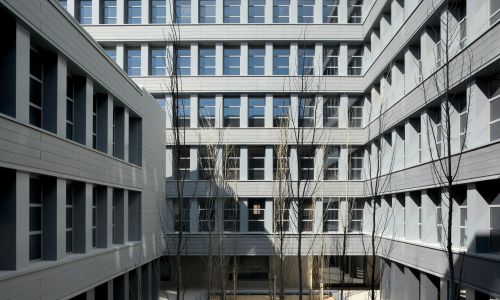 Oficinas de la Junta de Andalucía en Granada Diseño de paisajismo de jardin en patio interior arbolado de Cruz y Ortiz Arquitectos