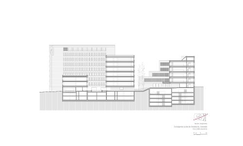 Oficinas de la Junta de Andalucía en Granada Diseño de plano de sección longitudinal de Cruz y Ortiz Arquitectos