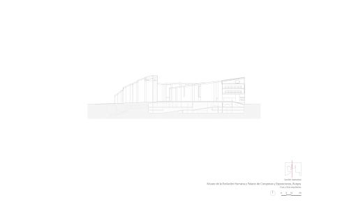 Museo de la Evolucion Humana en Burgos Diseño del Plano Seccion Transversal Cruz y Ortiz Arquitectos