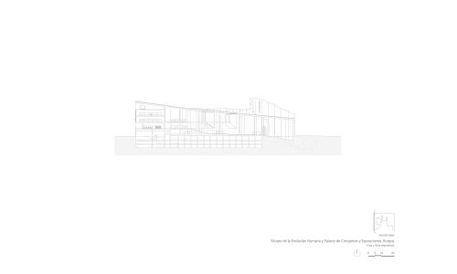 Museo de la Evolucion Humana en Burgos Diseño del Plano Seccion Transversal Expo Cruz y Ortiz Arquitectos