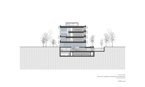 Instituto-Investigacion-Biomedicina-Bellinzona_CYO_Cruz-y-Ortiz-Arquitectos_31-seccion-transversal