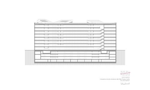 Oficinas-Consejerias-JJAA-Sevilla_Diseño-plano_Cruz-y-Ortiz-Arquitectos_CYO_30-seccion-longitudinal_2