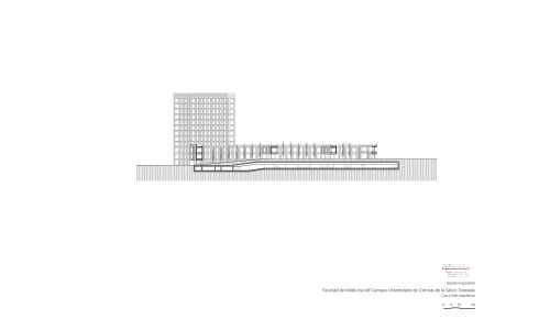 Facultad-Medicina-Universidad-Granada_Diseño-plano_Cruz-y-Ortiz-Arquitectos_CYO_30-seccion-longitudinal-1