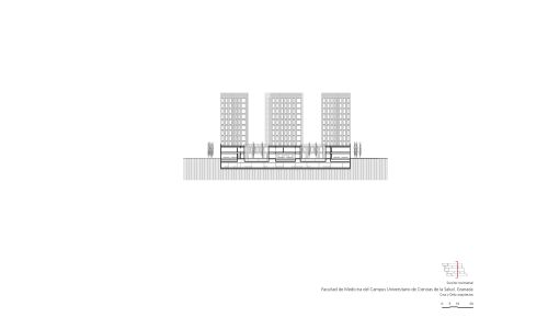 Facultad-Medicina-Universidad-Granada_Diseño-plano_Cruz-y-Ortiz-Arquitectos_CYO_31-seccion-transversal