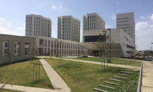 Ordenacion-Campus-Ciencias-Salud-Granada_Design-exterior-jardines-tapizante_Cruz-y-Ortiz-Arquitectos_CYO_05